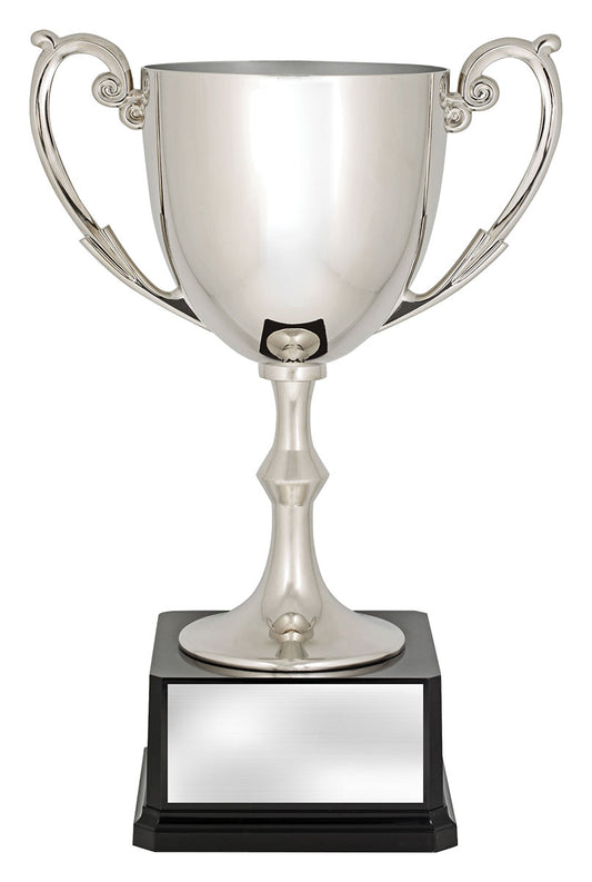 N574 Recognition Cups