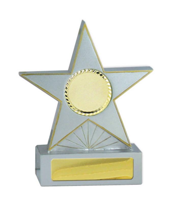 781-1 Star-Silver 13.3cm