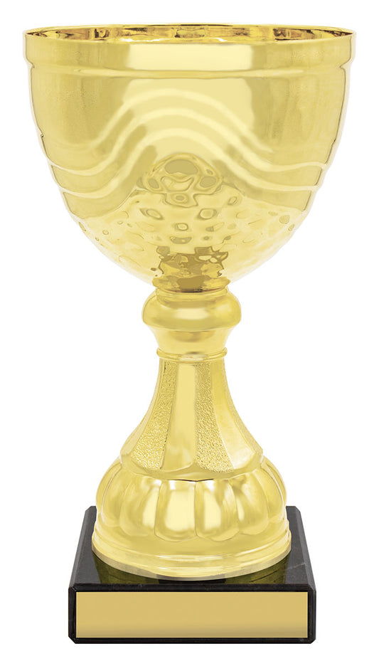 CUP162 Community Cup