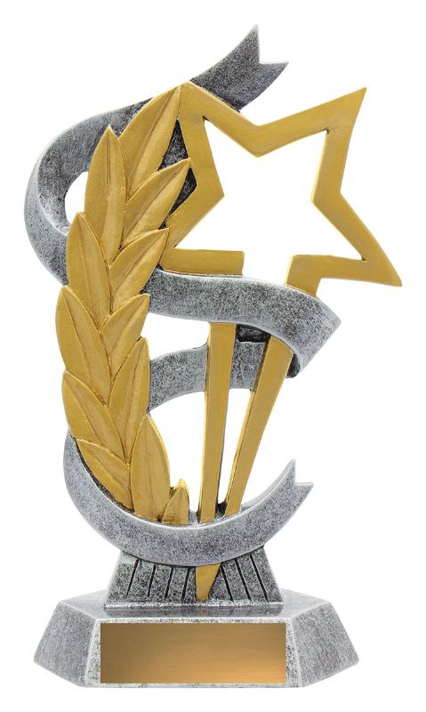 A2495C Bellwether Star & Wreath 20.5cm