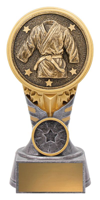 KN245A IKON Trophy Martial Arts 15cm