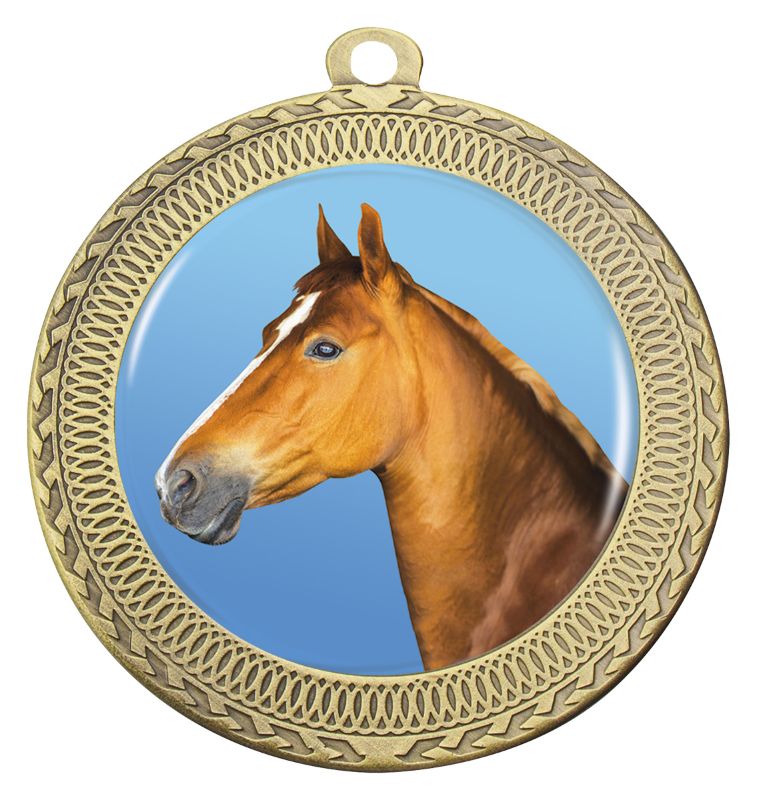 MVN352G Ovation Horse Medal Gold Medal 7cm