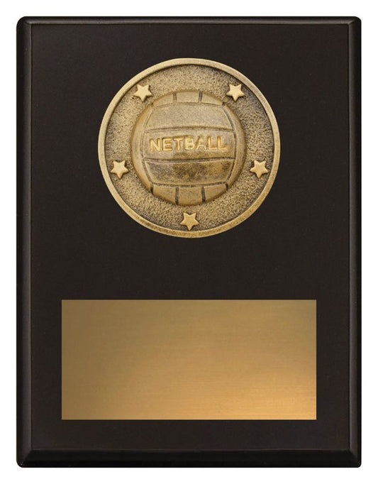 SP637B Challenge Plaque Netball 17.5cm