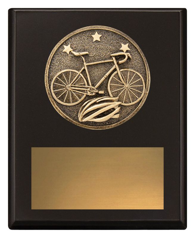 SP664A Challenge Plaque Cycling 15cm