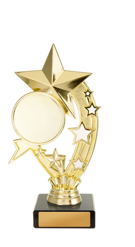 W22-11503 Star 18.5cm