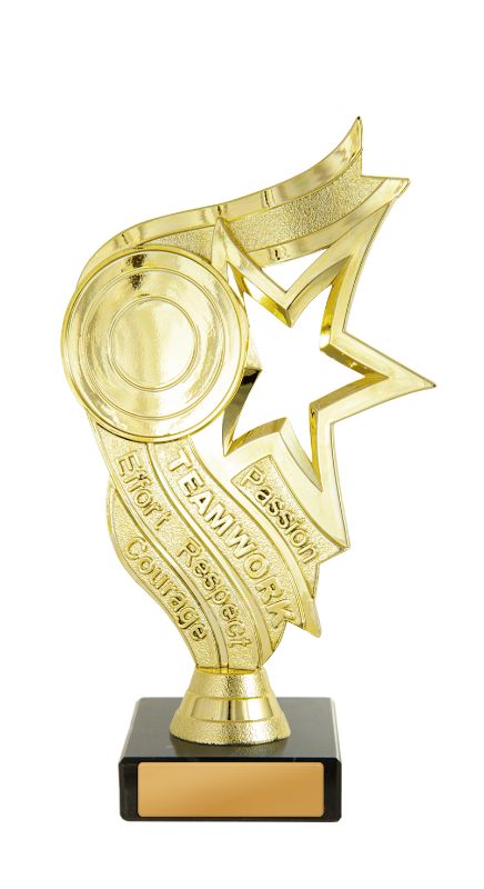 W22-11507 Star Holder 18.5cm