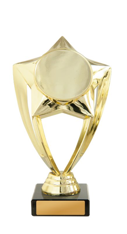 W22-11510 Star Holder 17cm