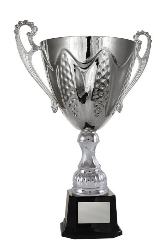 W22-3905 Bordeaux Cup 39.9cm
