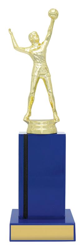 X4462 Volleyball Blue Timber 27cm