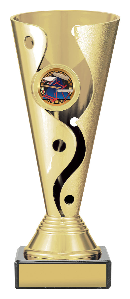 CRV14 Carnival Cup - Gymnastics