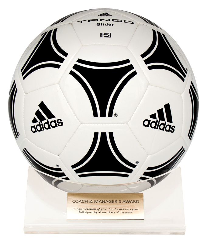 ACB01 Acrylic Ball Holder 16.5cm