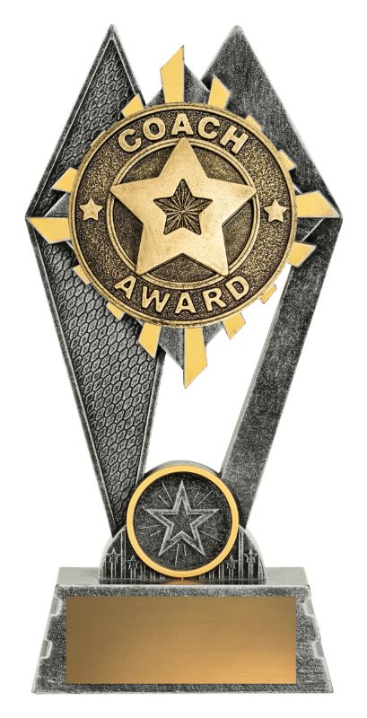 P2101A Peak Coach Award 18cm