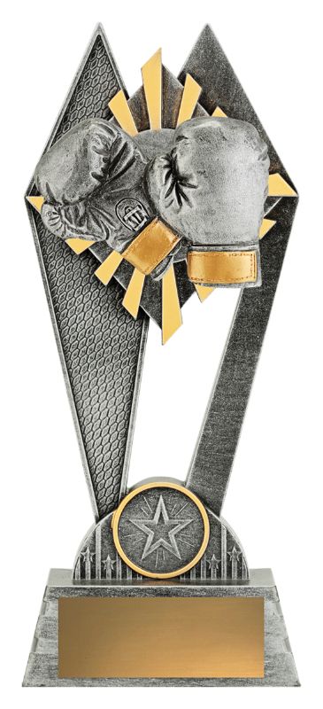 P232B Peak Boxing 20cm