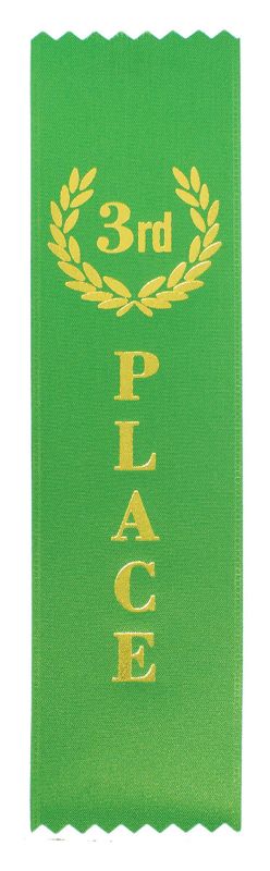 RT3 3rd Place Ribbon 20cm