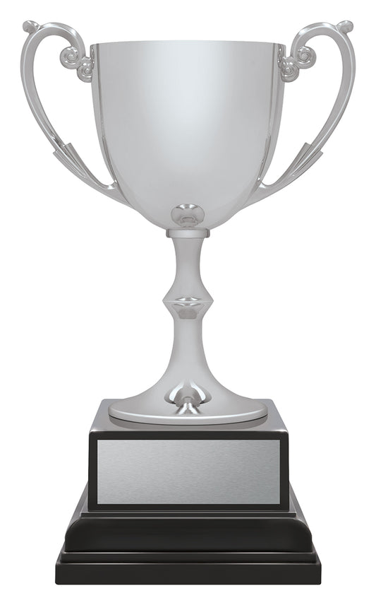 CXP-2 Ace Recognition Silver