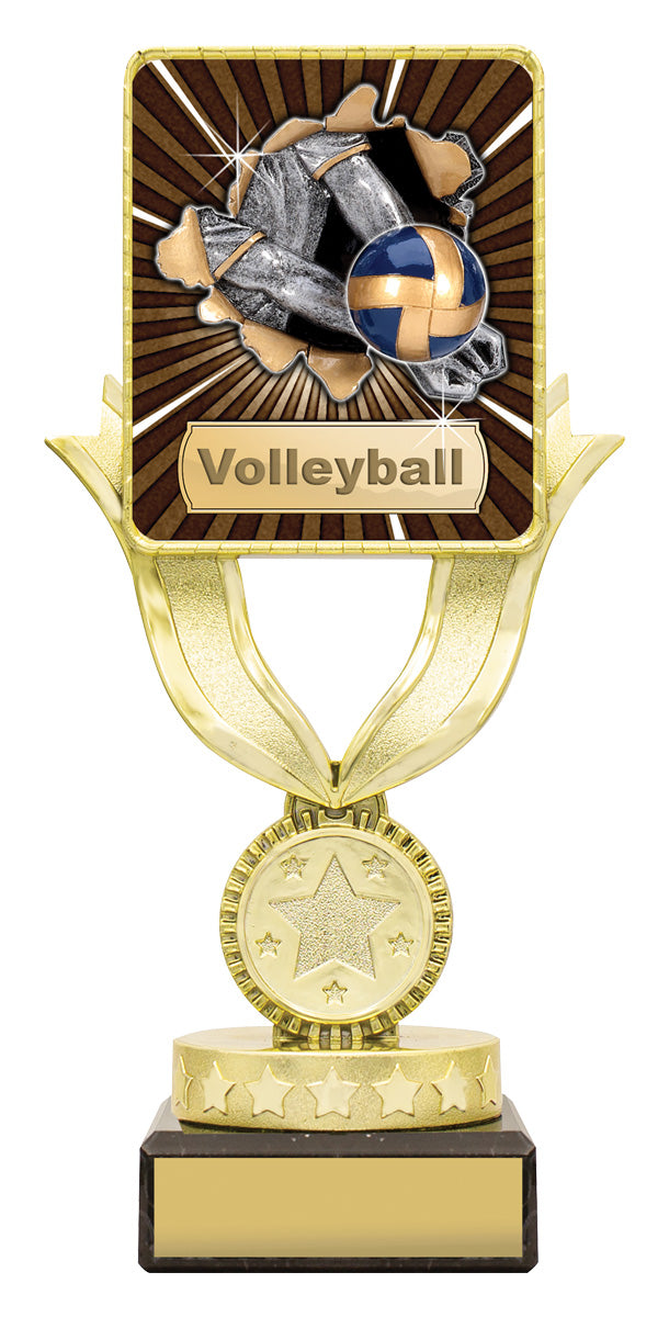 LPB027 Lynx Sentry - Volleyball