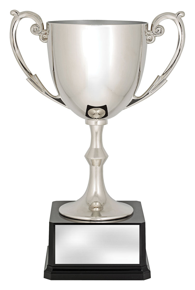F563 Recognition Cups
