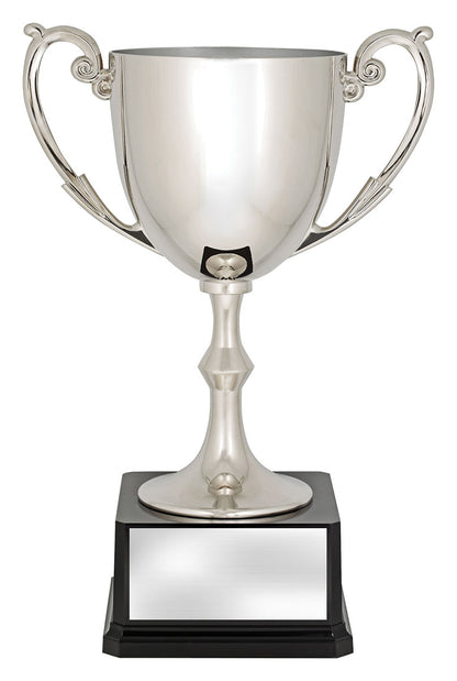 N574 Recognition Cups