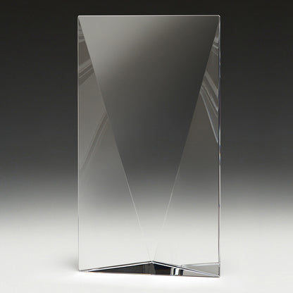 CT17 Capstone Award