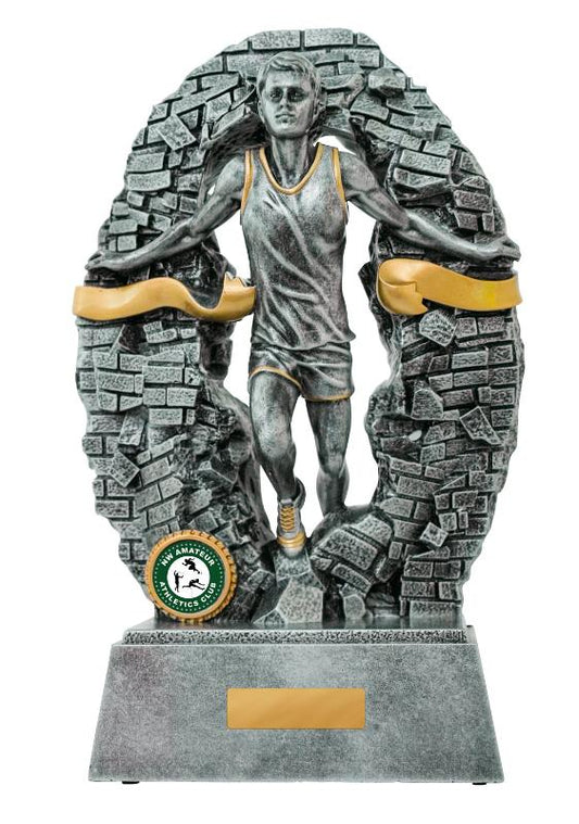 1010-17MC Breaking Down Barriers-Athletics Male 16cm