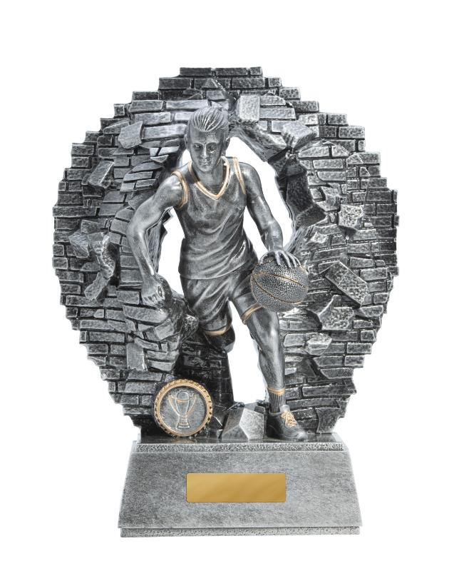 1010-7FE Breaking Down Barriers-Basketball Female 27cm