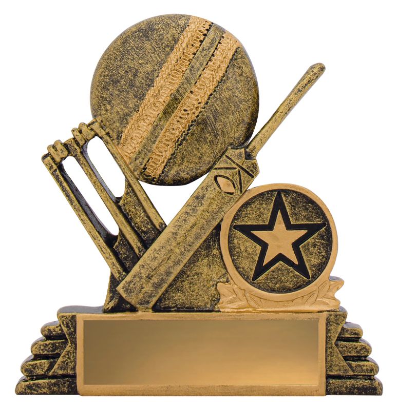 11010 Cricket Budget Icon 100mm