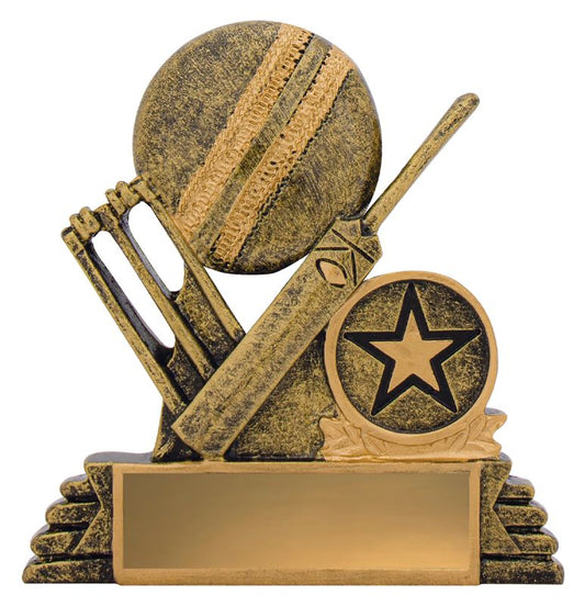 11010 Cricket Budget Icon 100mm