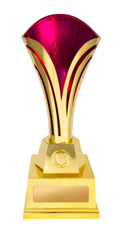 1101GPKD Tulipa Cup 31cm