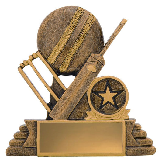 11110 Cricket Budget Icon 115mm
