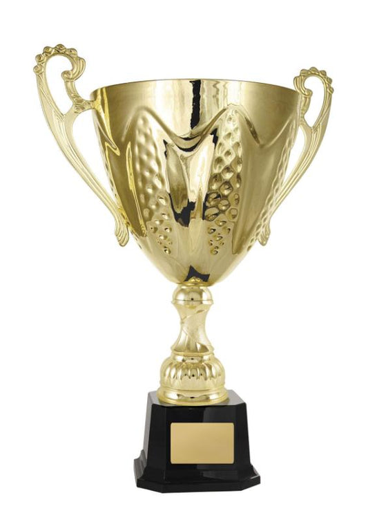 1113G-2P Bordeaux Cup 30.4cm