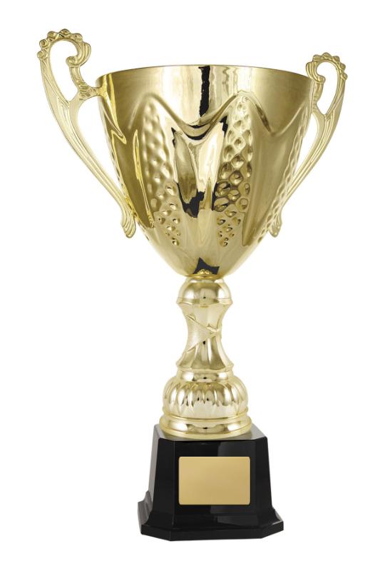 1113G-6P Bordeaux Cup 42.4cm