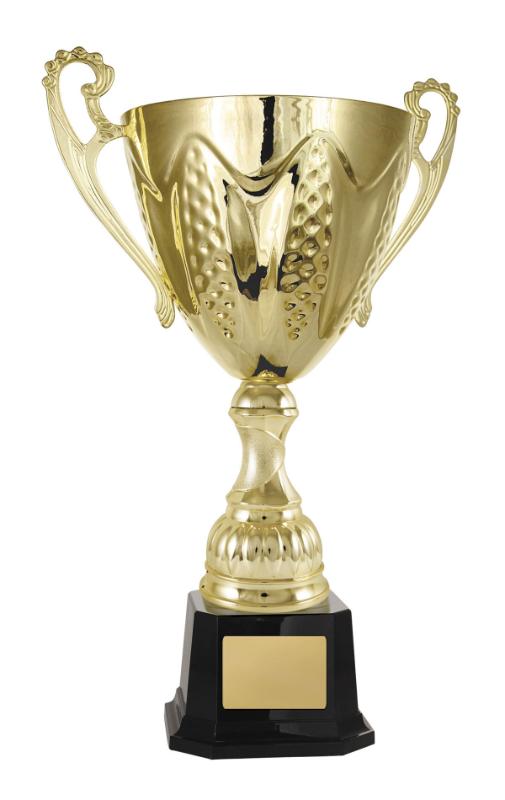 1113G-8P Bordeaux Cup 49.5cm
