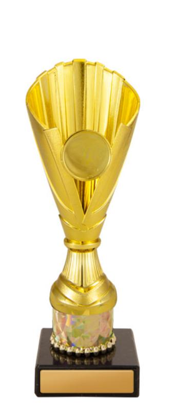 1116G-2 Norwood Cup 19.7cm