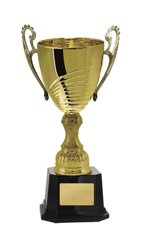 1119G-1P Prosecco Cup 27.7cm