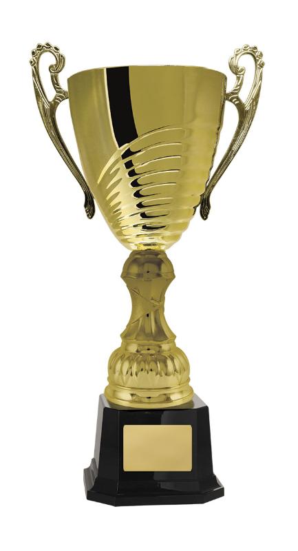 1119G-6P Prosecco Cup 42.4cm