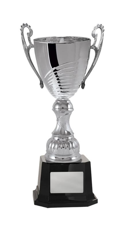 1119S-2P Prosecco Cup 30.4cm