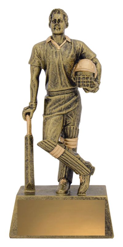 11714C Cricket Hero Batsman 225mm