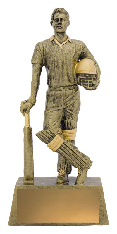 11714D Cricket Hero Batsman 240mm