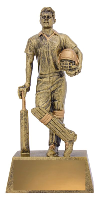 11714E Cricket Hero Batsman 270mm