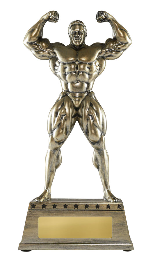 1179B Body Builder