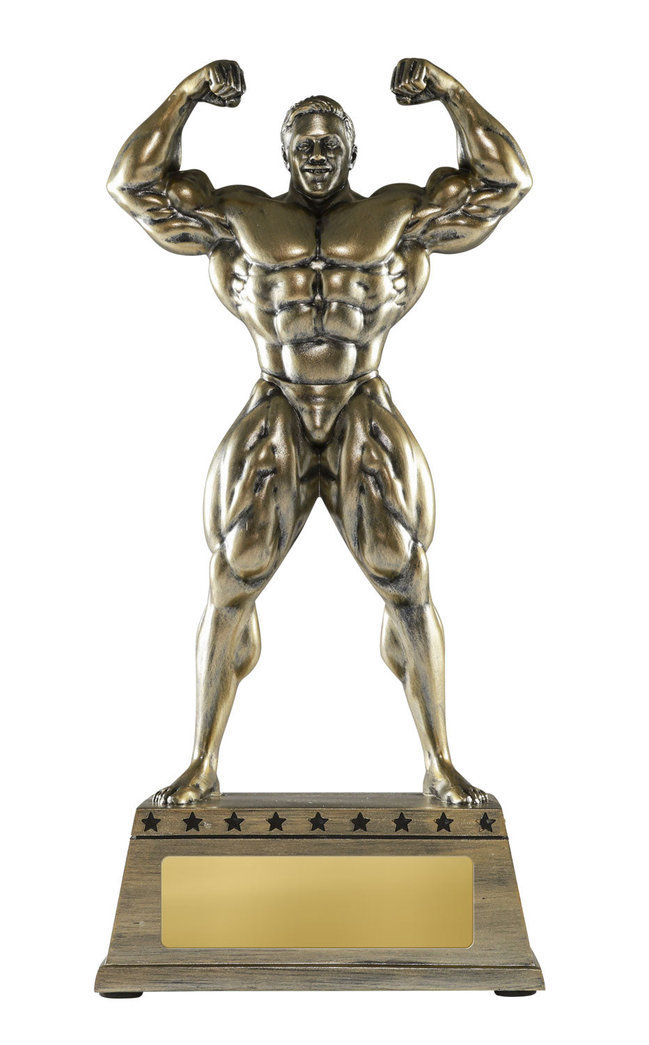 1179B Body Builder