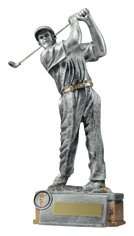 12117 Silver Driver 25cm
