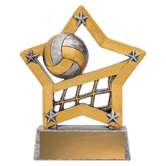 12927 Volleyball Mini Star