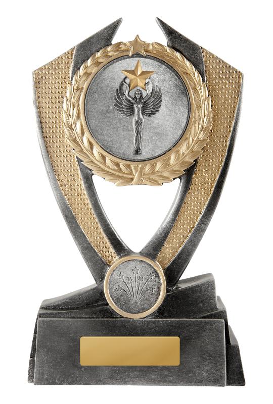 12C-2DC56F Hero Shield-Achievement 17.5cm