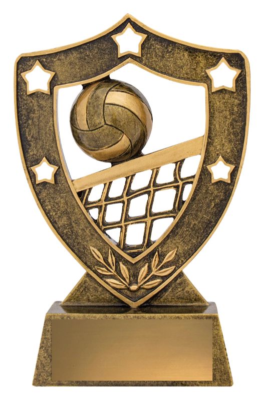 13527 Volleyball Shield 13.5cm