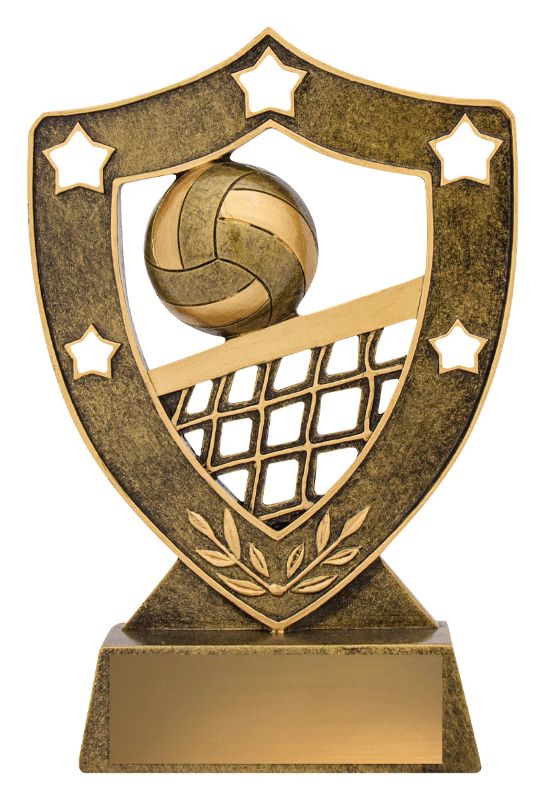 13627 Volleyball Shield 15.5cm