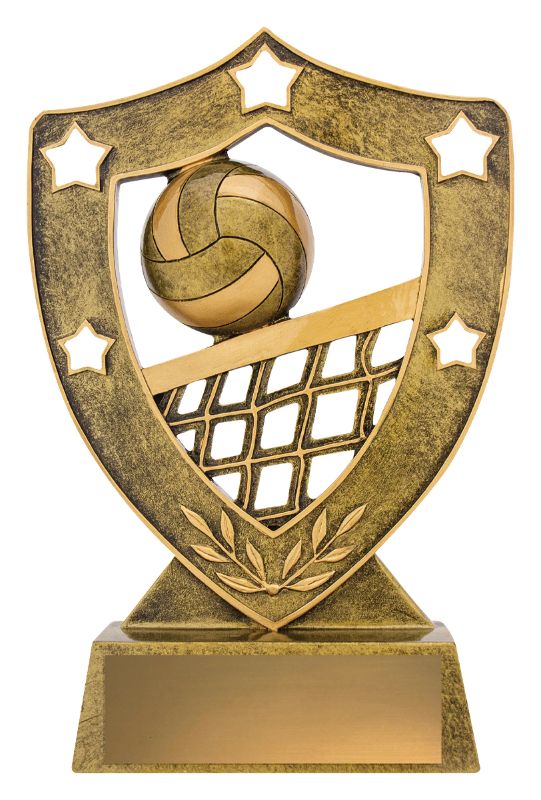 13727 Volleyball Shield 21cm
