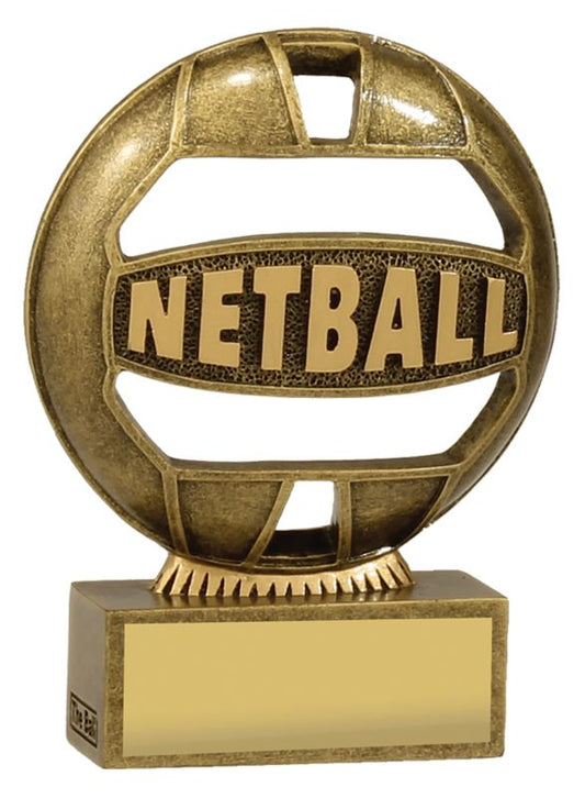 13937A Netball 'The Ball' 12.5cm