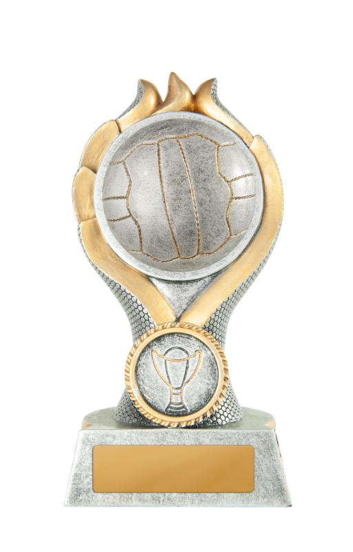 14C-2DC8GA Sierra Tower-Netball 13cm