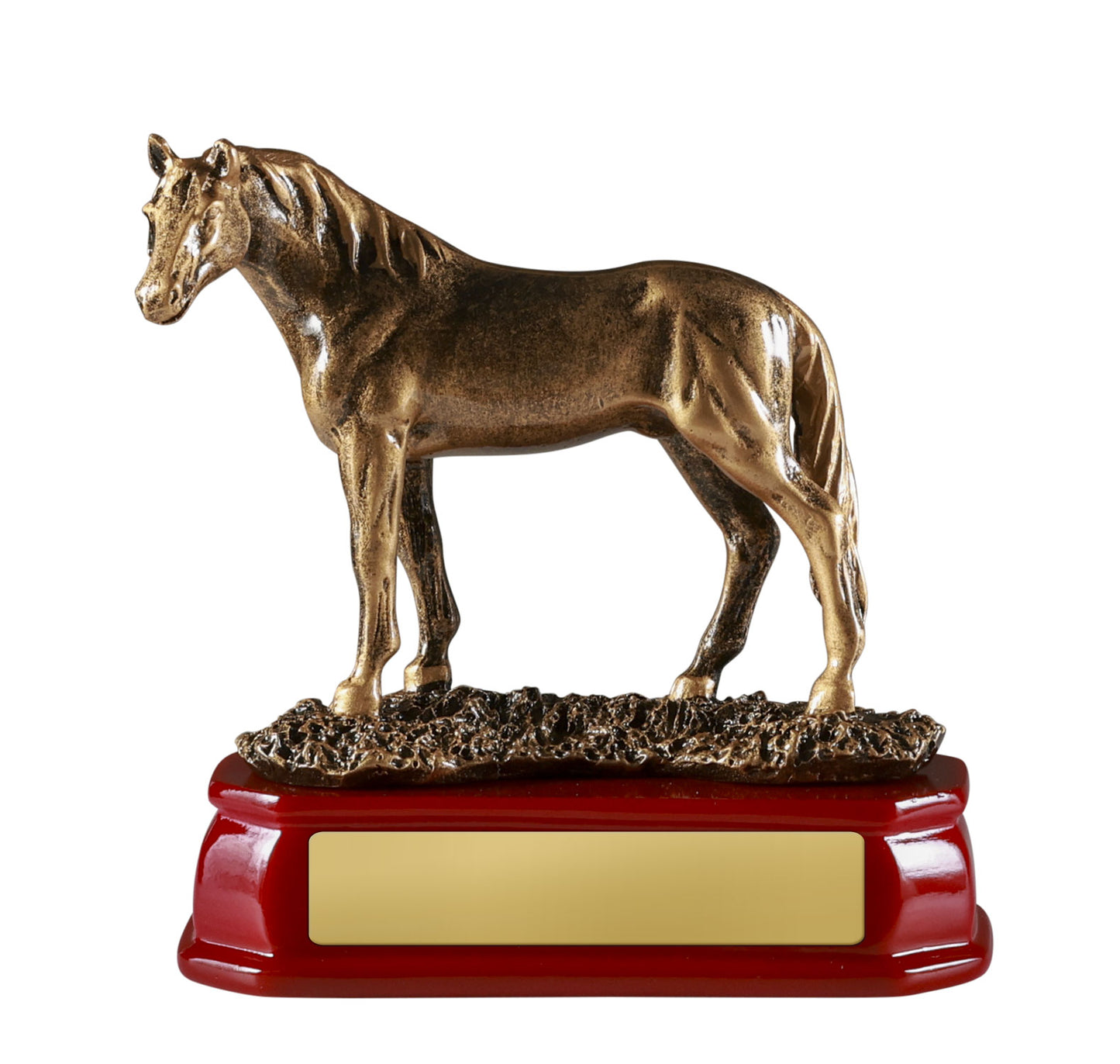 1510B Horse Standing